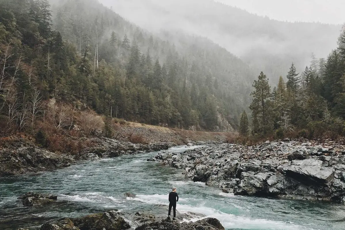 Officiis ut aliquid adipisci